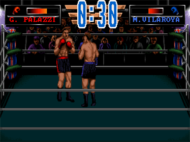 3D World Boxing - Screenshot - Gameplay Image