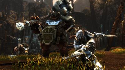 Kingdoms of Amalur: Re-Reckoning - Screenshot - Gameplay Image