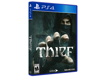 Thief - Box - 3D Image