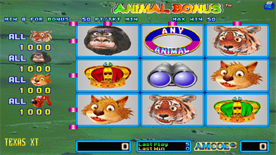 Animal Bonus - Screenshot - Gameplay Image