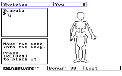 The Body Transparent - Screenshot - Gameplay Image