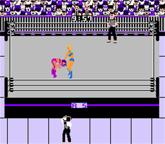 WWE Women's Revolution - Screenshot - Gameplay Image