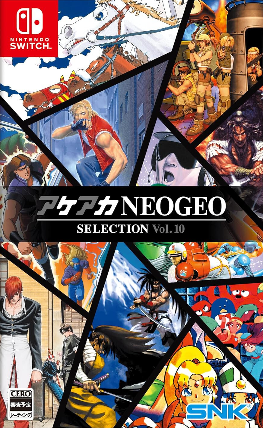 ACA NEOGEO Selection Vol. 10