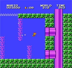 Super Mario Bros. Special - Screenshot - Gameplay Image