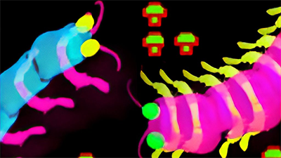 Centipede & Millipede - Fanart - Background Image