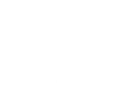 Scarf - Clear Logo Image