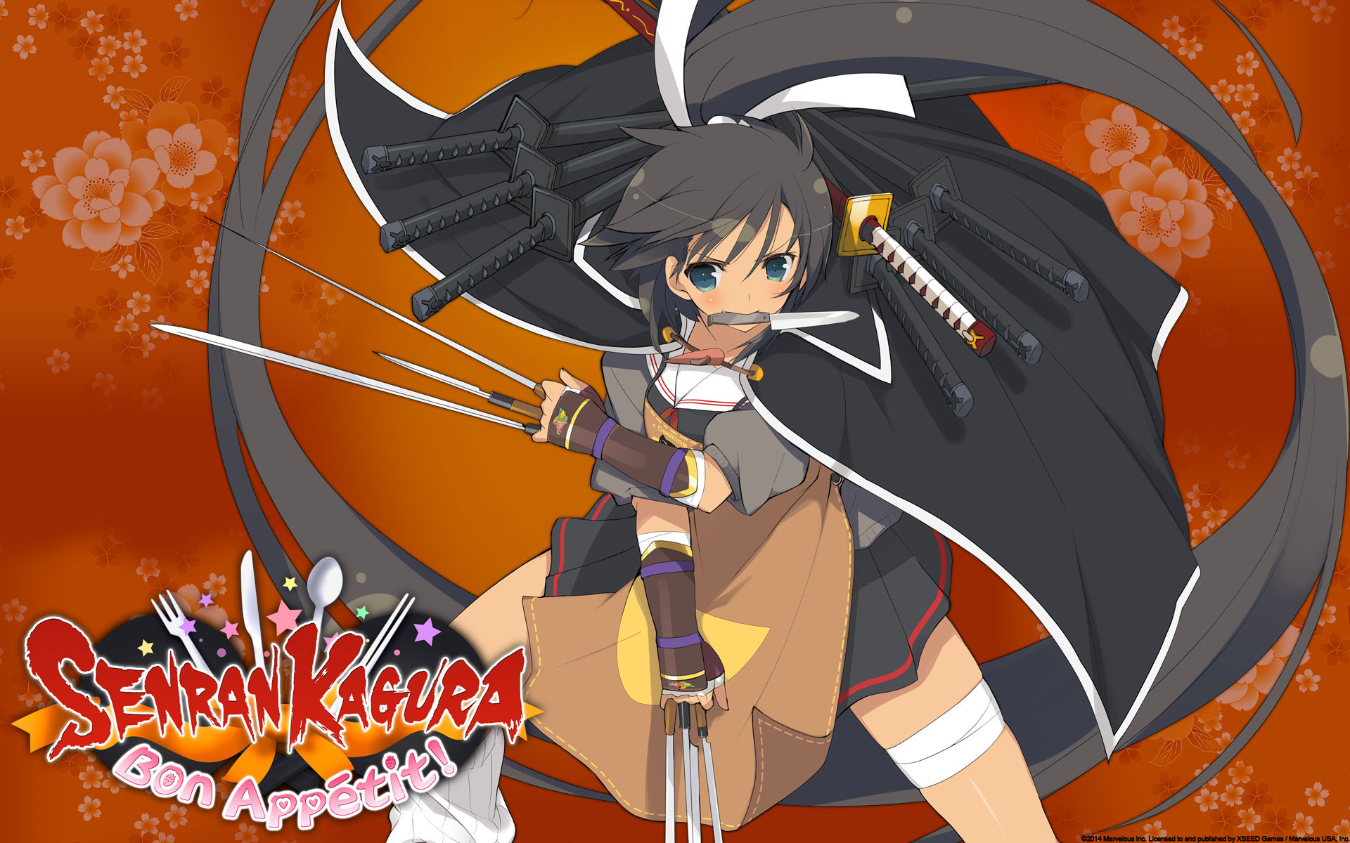 Senran Kagura: Bon Appétit! - Wikipedia