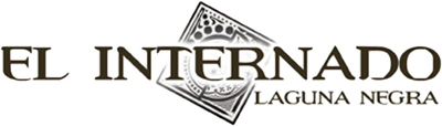 El Internado: Laguna Negra - Clear Logo Image