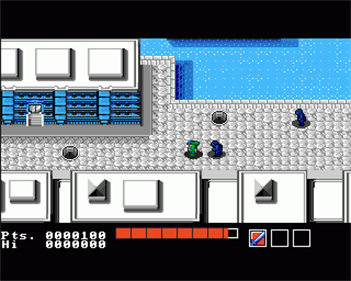 Teenage Mutant Ninja Turtles [Ultra Games] - Screenshot - Gameplay Image