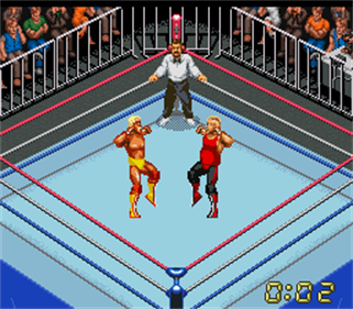 Super Fire Pro Wrestling X Premium - Screenshot - Gameplay Image