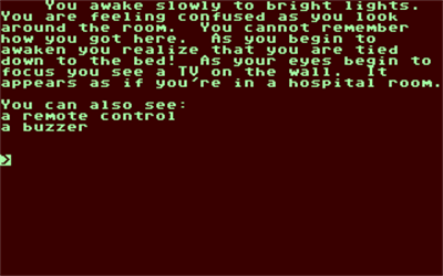Memory - Screenshot - Gameplay Image