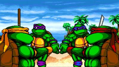 Teenage Mutant Ninja Turtles: Shell Shocked - Screenshot - Gameplay Image