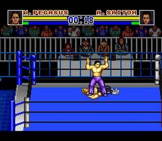 Shin Nippon Pro Wrestling '94: Battlefield in Tokyo Dome - Screenshot - Gameplay Image
