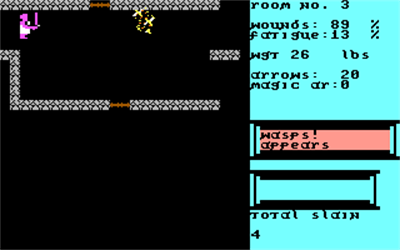 Upper Reaches of Apshai - Screenshot - Gameplay Image