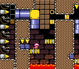 Super Mario World: Fresh Hops