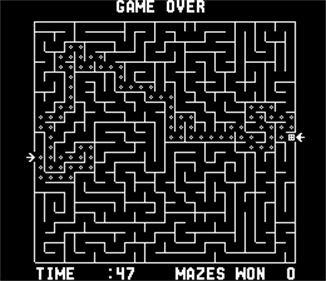 Amazing Maze - Screenshot - Game Over Image