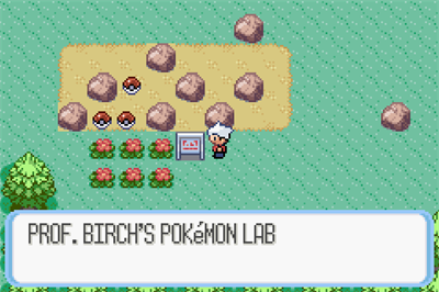 Pokémon Snakewood - Screenshot - Gameplay Image