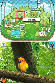 Discovery Kids: Parrot Pals - Screenshot - Gameplay Image