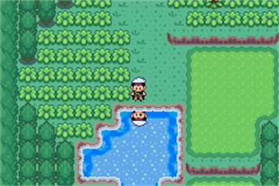 Pokémon Emerald 802 - Screenshot - Gameplay Image