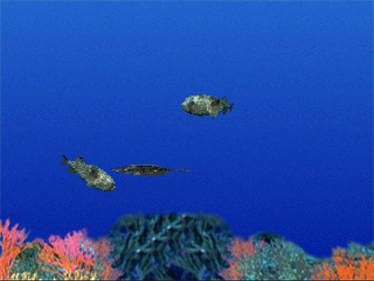 Aqua World: Umi Monogatari - Screenshot - Gameplay Image