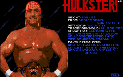 WWF Wrestlemania - Screenshot - Game Select Image
