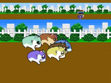 Hamster Monogatari 64 - Screenshot - Gameplay Image
