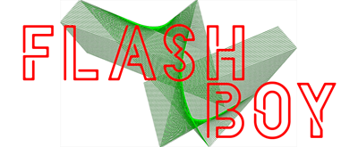 Flash Boy - Clear Logo Image