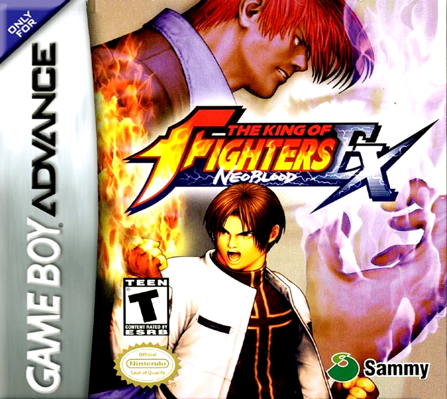 The King Of Fighters EX: Neo Blood Details - LaunchBox Games Database