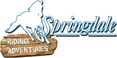 Springdale - Clear Logo Image