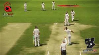 Don Bradman Cricket 14 - Screenshot - Gameplay Image