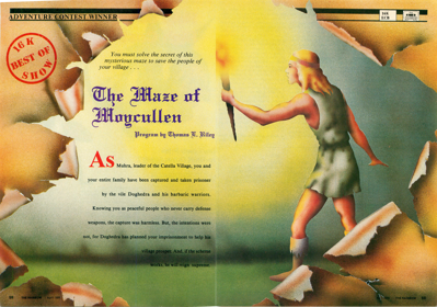 The Maze of Moycullen