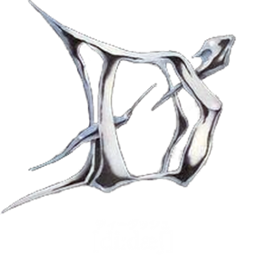 D' - Clear Logo Image