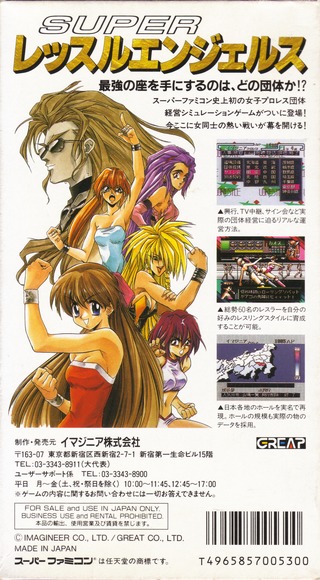 Super Wrestle Angels Details Launchbox Games Database