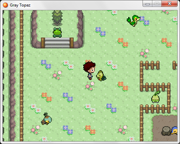 Pokémon Gray Topaz - Screenshot - Gameplay Image