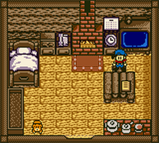 Harvest Moon GBC - Screenshot - Gameplay Image
