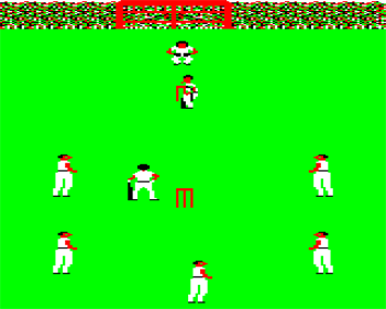 Cricket - Screenshot - Gameplay Image