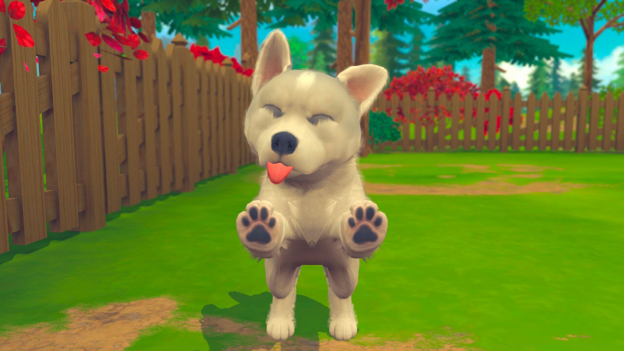 My Universe: Puppies and Kittens
