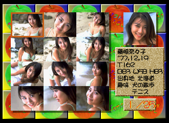 Private Idol Disc Vol. 5: Fujisaki Nanako