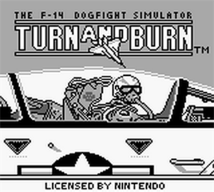 Turn and Burn: The F-14 Dogfight Simulator - Screenshot - Game Title Image
