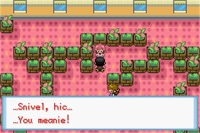 Pokémon CrystalDust - Screenshot - Gameplay Image