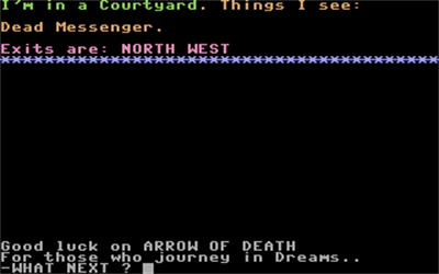 Arrow of Death - Screenshot - Gameplay Image