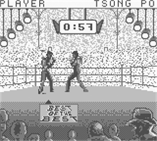 Best of the Best: Championship Karate - Screenshot - Gameplay Image
