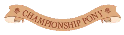Championship Pony - Clear Logo Image