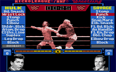 MicroLeague Wrestling - Screenshot - Gameplay Image