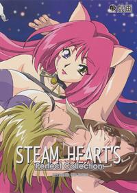 Steam Heart's Perfect Collection - Box - Front Image