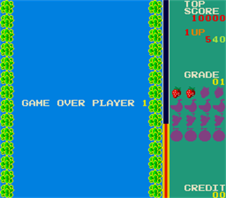 Swimmer - Screenshot - Game Over Image