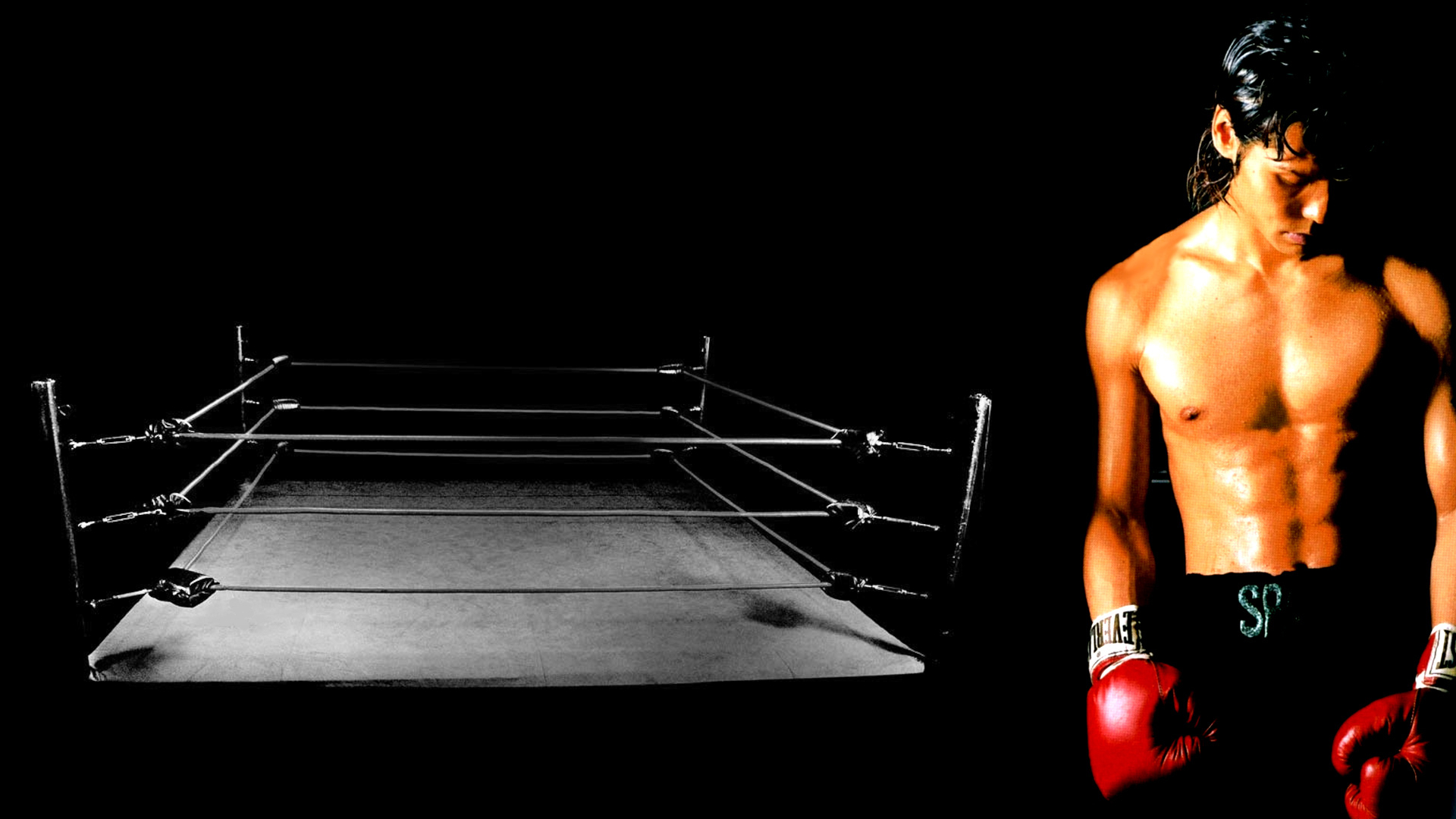 Onizuka Katsuya Super Virtual Boxing: Shin Kentou Ou Densetsu