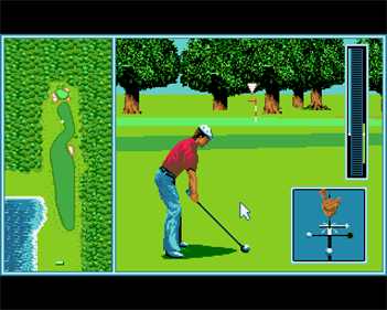 Tournament Golf - Screenshot - Gameplay Image