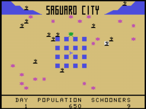 Saguaro City