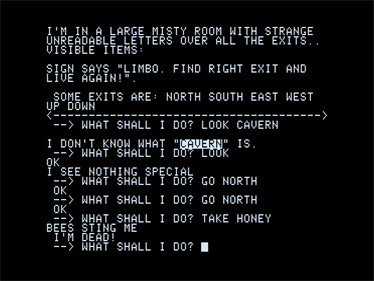 Adventureland - Screenshot - Gameplay